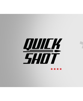 Quickshot Steam Key GLOBAL